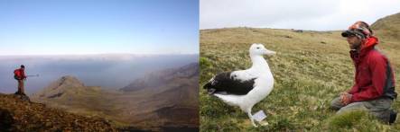 Gough Island, and Graham Parker with an albatross
