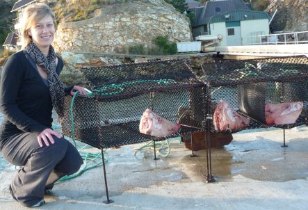 Gemma Dickson with three pig heads in cages