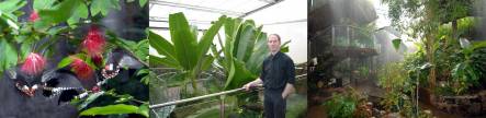 Tropical butteflies, Murray McGuigan and the tropical forest exhibit