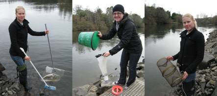 Toni Johnston, left, with broom and net for sampling invertebrates on riprap, Melany Ginders (centre) collecting water sample, and Toni (right) with fish trap. (Images: A. Ballance)