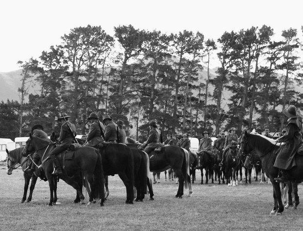 horses BW