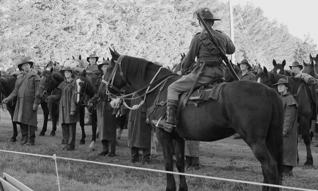 years horses BW