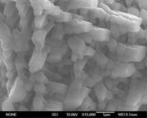 Close up of calcium carbonate grown in presence of sea urchin protein