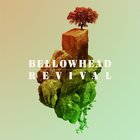 Bellowhead Revival