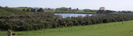 Waiwhakareke Natural Heritage Park