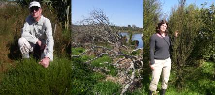 Bruce Clarkson with Empodisma minor plant, dead gray willows on lake margin, and Toni Cornes with thriving 4-year old trees