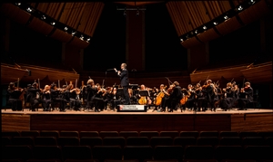Orchestra Wellington web