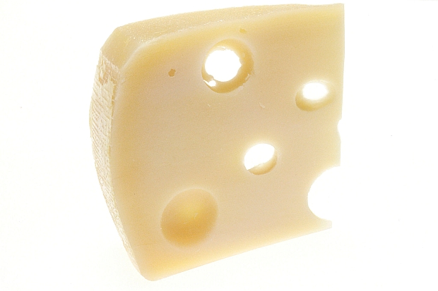 Swiss cheese