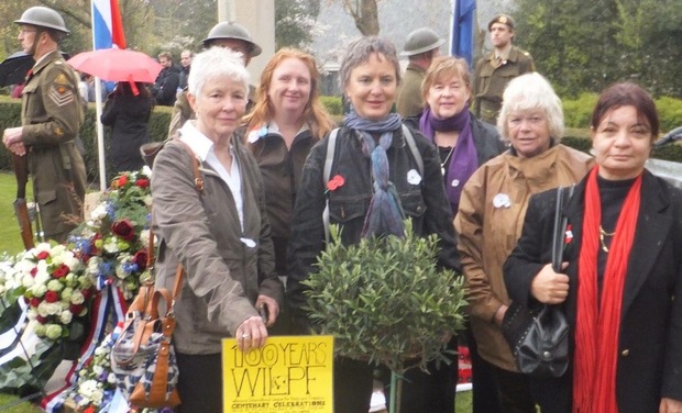 An olive tree for peace arriving at this year s Anzac Day commemoration in the Hague Supplied