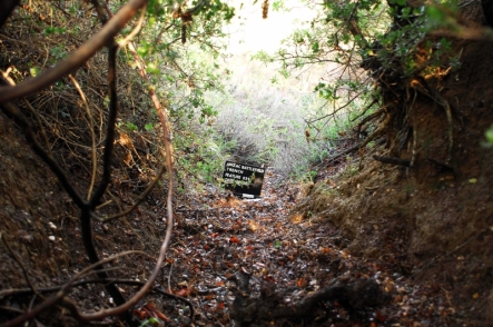 Typical trench in the Johnston’s Jolly area. Photo: Australian Government - Department of Veteran's Affairs.