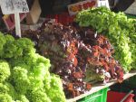 Wellington fruit and vegetable market