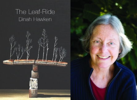 The Leaf Ride by Dinah Hawkins.