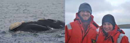 A southern right whale, and Will Rayment and Trudi Webster