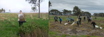 Bridget Johnson and people planting trees at the Wairio wetland