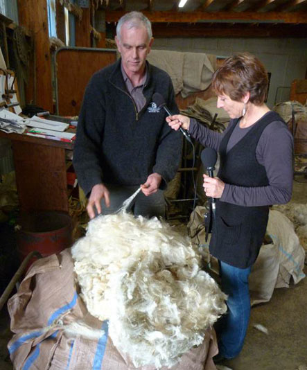 How much will the wool fetch?