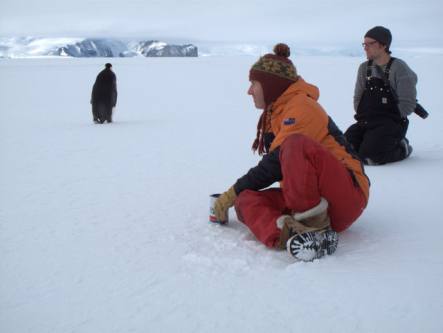 Craig Stevens Erebus Glacier Tongue photo by Martin Doble