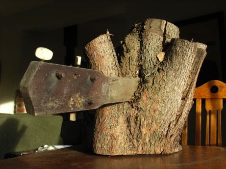 The Bat's guitar in a tree. Photo by P.Kean J.Woodward