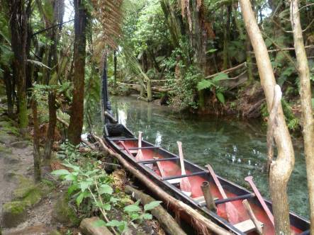 Te waka Turehu