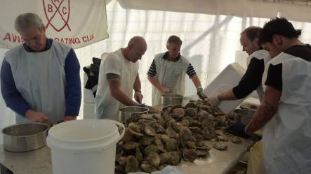 Shucking Oysters at The Bluff Oyster Festival