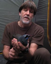 Paul Jansen with a North Island kokako