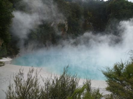 Waimangu geothermal valley