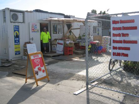 Greening the Rubble Dairy in a container November small