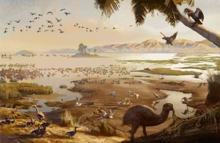 Otago as it might have looked like million years ago