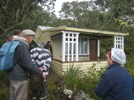 Rangitoto small