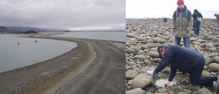 Nelson boulder bank looing towards The Cut, and Neil Hartshorn on the 'boulder  lag'