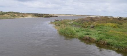 Waituna lagoon