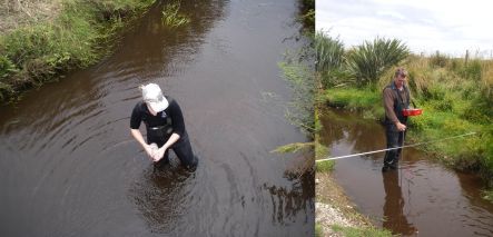 The peaty soils in the lower Waituna catchment create dark tannin-stained water in its streams