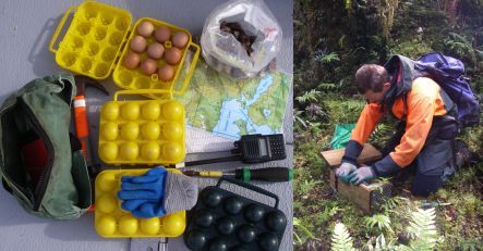 Trapping stoats on Resolution Island - equipment, and a trap check