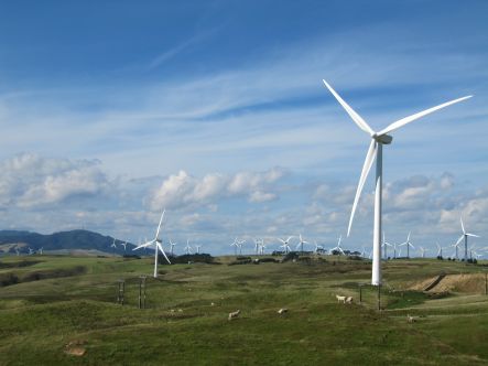 wind farm