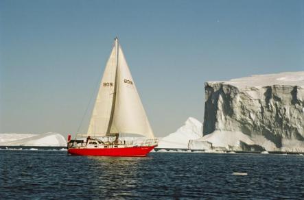 snow petrel trip