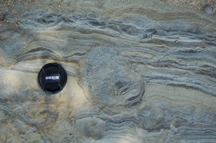 Top of a dinosaur footprint