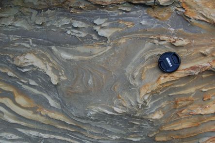 Cross section of a dinosaur footprint