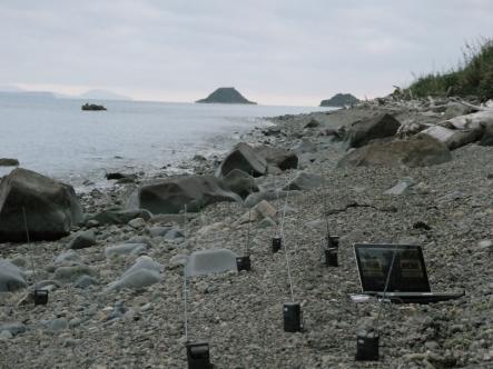 Kapiti Sound