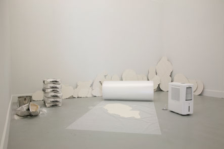 Dane Mitchell: Various Solid States 2010 / 2011 (installation view). 