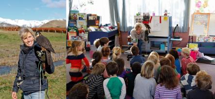 Marlborough Falcon Conservation Trust