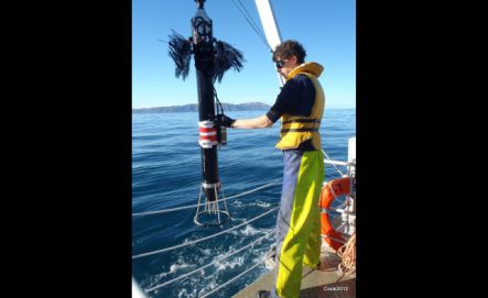 Craig Stevens Sailing Straight on the Strait