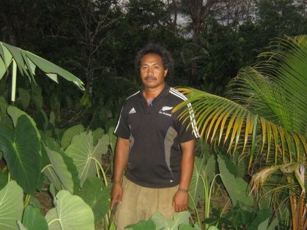 Taro farmer in Samoa