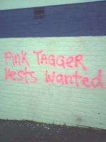 Wellington taggers mock the council's 