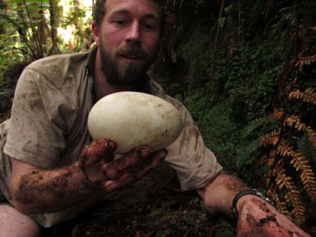 Triumphant Blair Hoult with Haast tokoeka egg