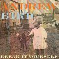 andrew bird break yourself