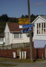 An area of state housing in Porirua, north of Wellington