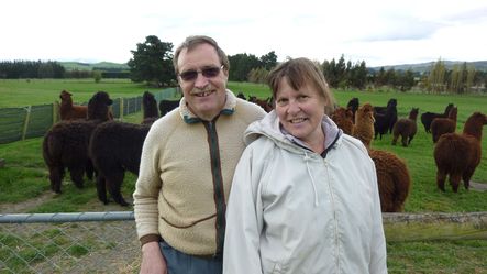 Swiss Fricker Couple