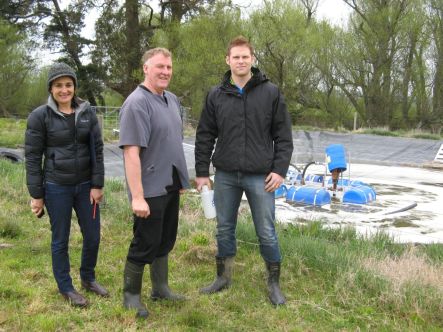 Joe Edlin Headlands Consultancy