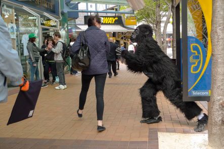 Gorilla frightens lady.