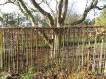 willow fence