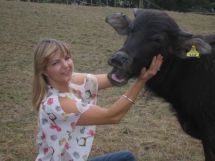 Buffalo Cheese 